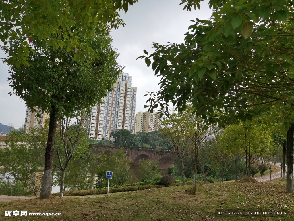 城市公園綠樹與高樓景觀