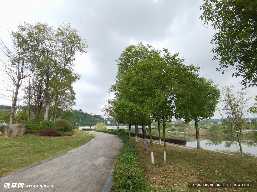 林間漫步道自然好風(fēng)光