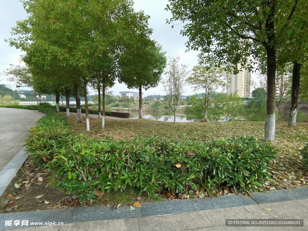 城市街邊綠樹與綠植景觀