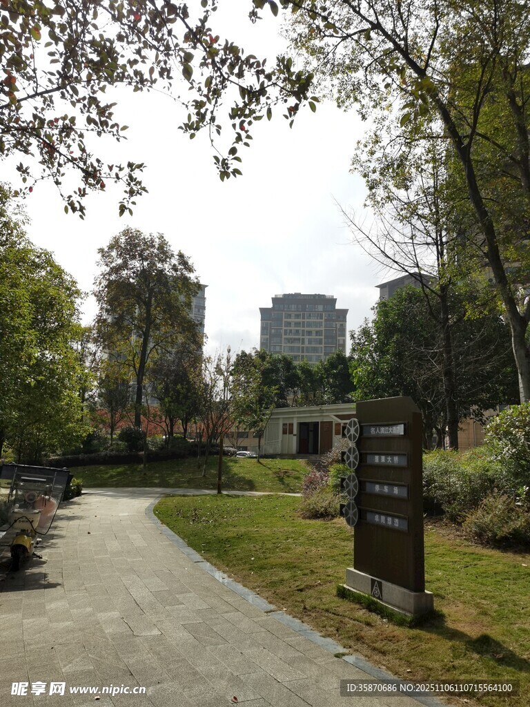 城市中靜謐的林蔭小道