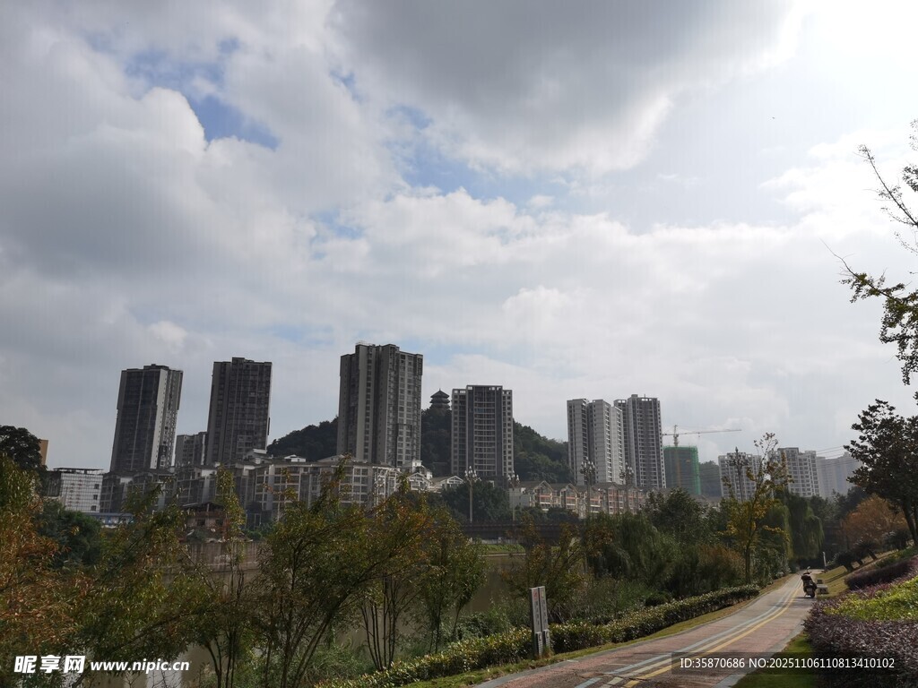 城市景觀中的高樓與綠植