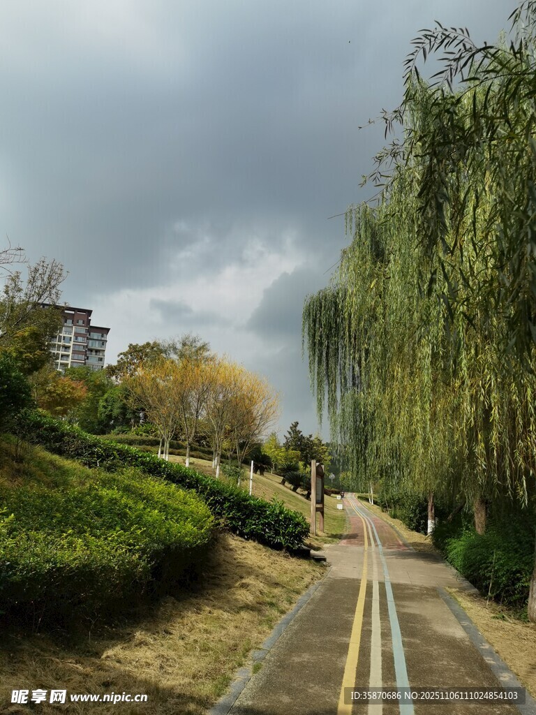 秋日林蔭小道風(fēng)景