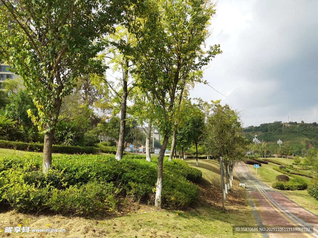 鄉(xiāng)村林間小道風(fēng)景