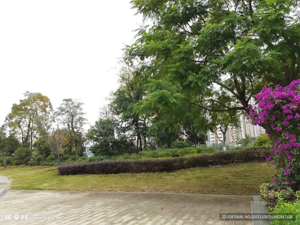 公園雨后清新景致
