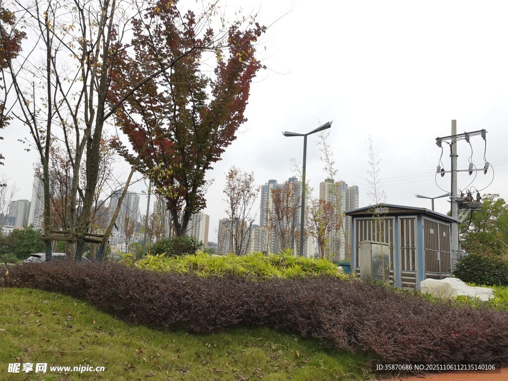 城市街邊綠植與小屋景觀