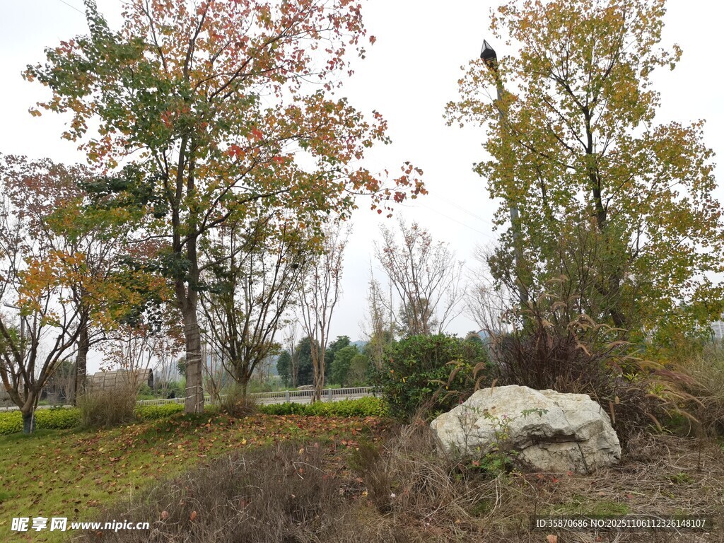 秋日郊野風(fēng)景