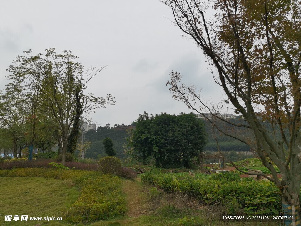 鄉(xiāng)村田野間的自然景致