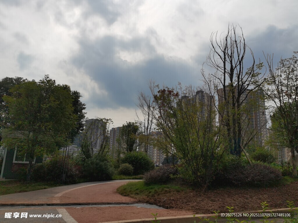 城市中的靜謐綠化景觀