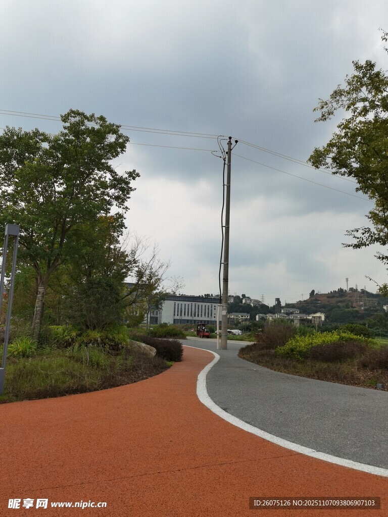 蜿蜒紅徑旁的綠植景觀