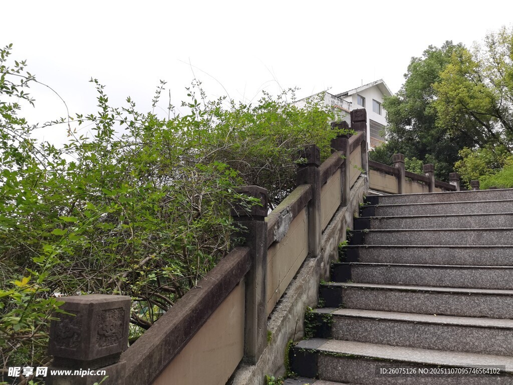 山間石階綠植環(huán)繞