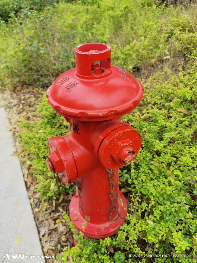 紅色消防栓立于綠植間