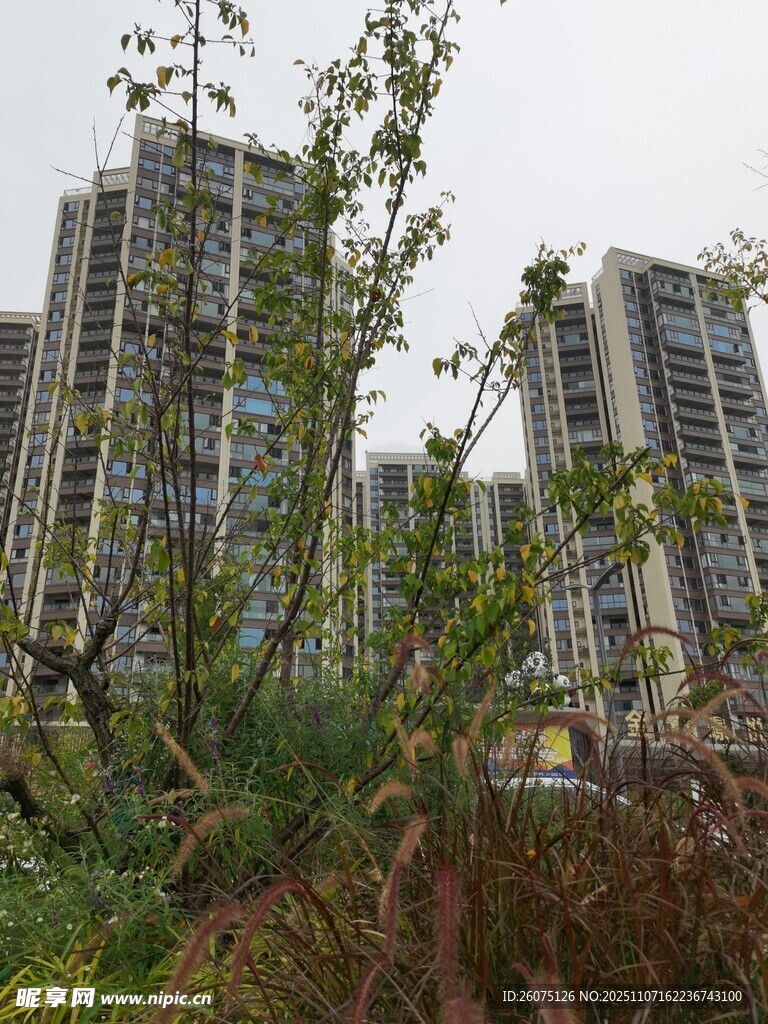 城市高樓間的綠植景觀