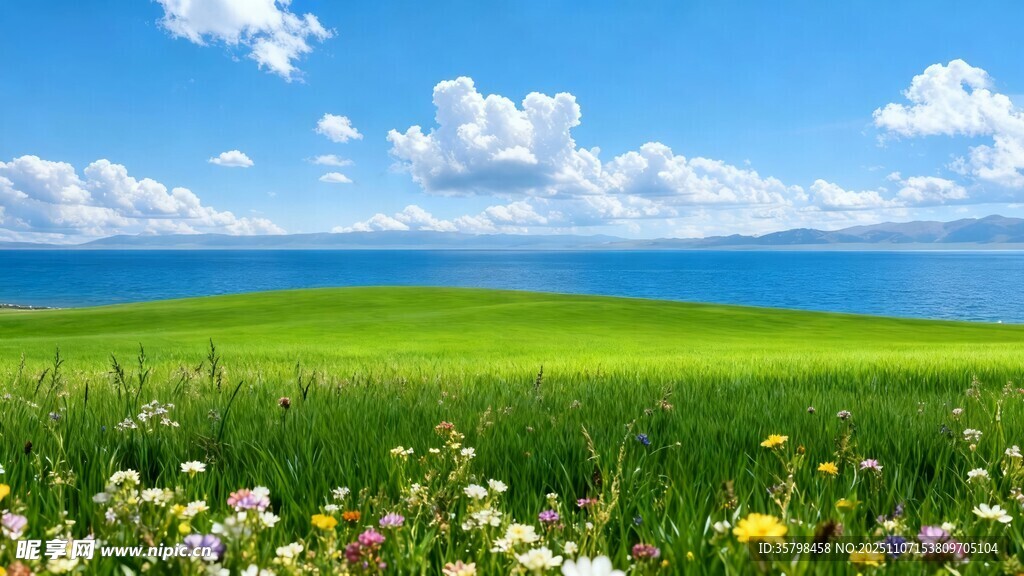 草原花海與藍(lán)天湖泊美景