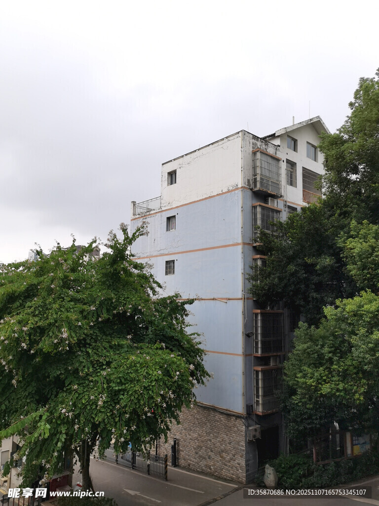 綠樹環(huán)繞的多層居民樓