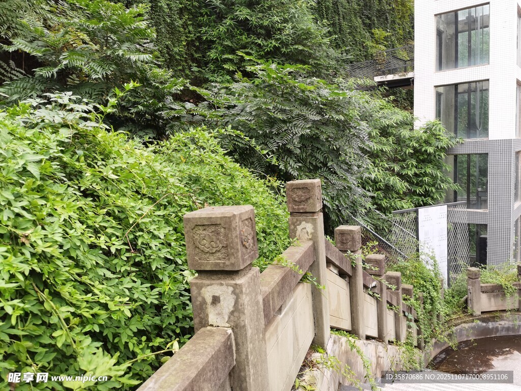 木質(zhì)步道旁的繁茂綠植