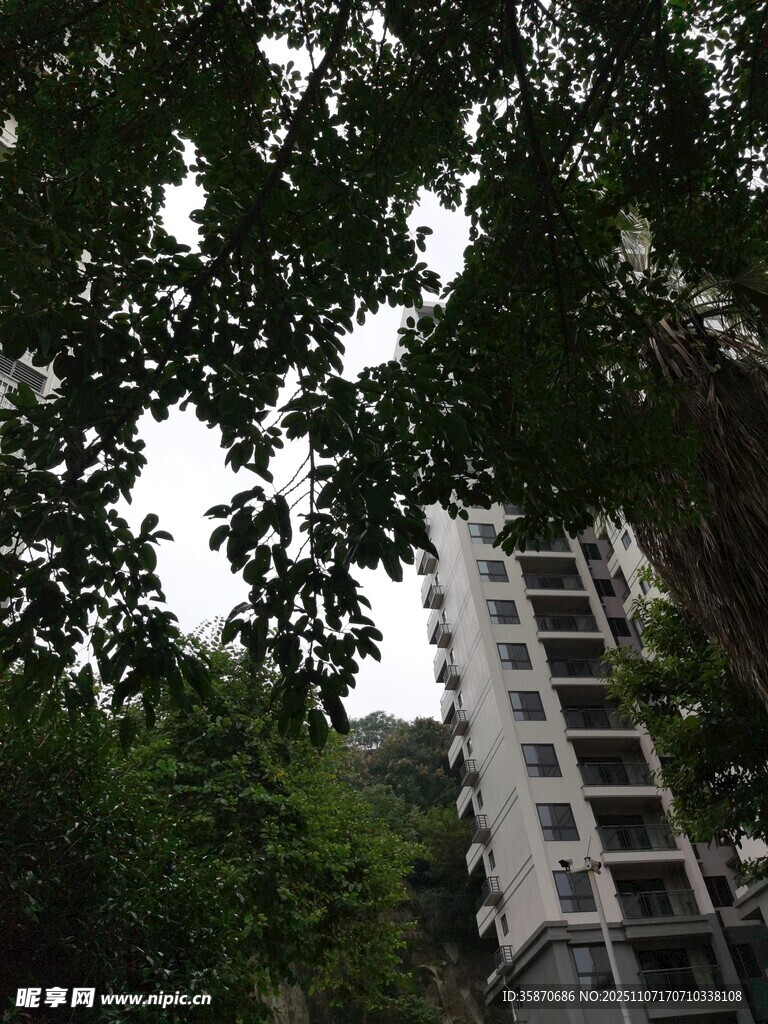 綠樹掩映下的高層住宅