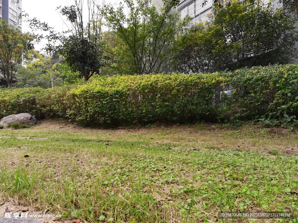 戶(hù)外綠意盎然的草坪與灌木