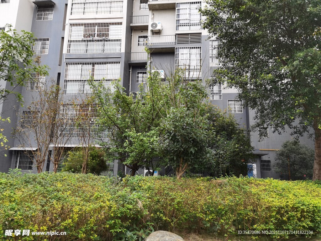 現(xiàn)代住宅旁的綠植景觀