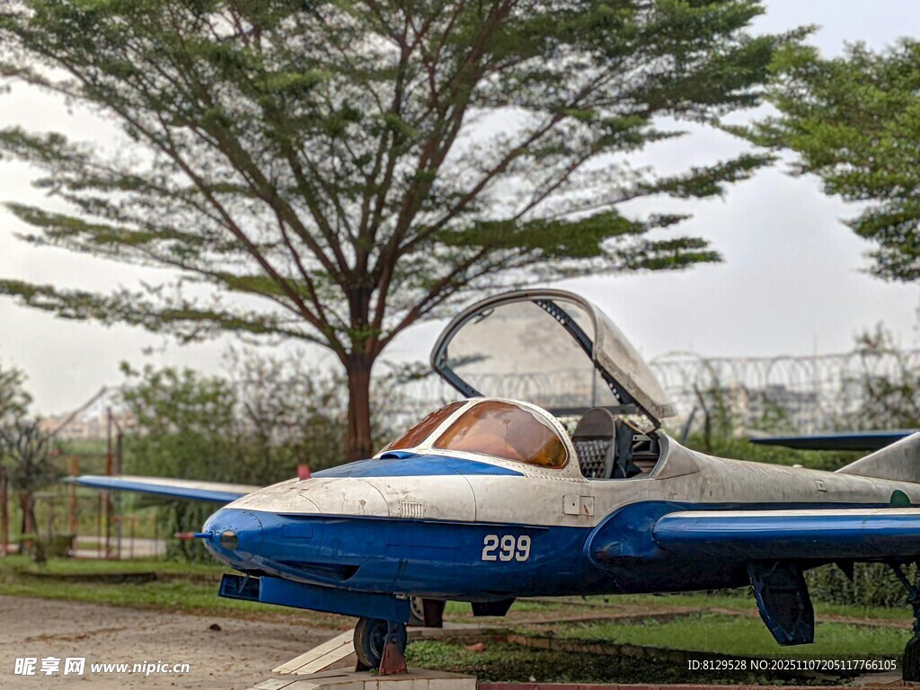 藍(lán)白噴氣式飛機(jī)戶外展示