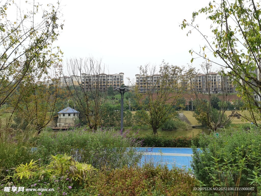 戶外自然景觀中的泳池小屋