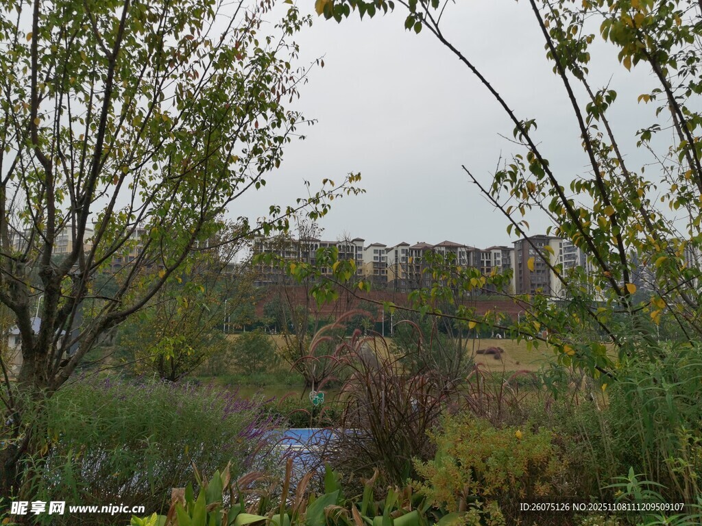 郊外自然風(fēng)景