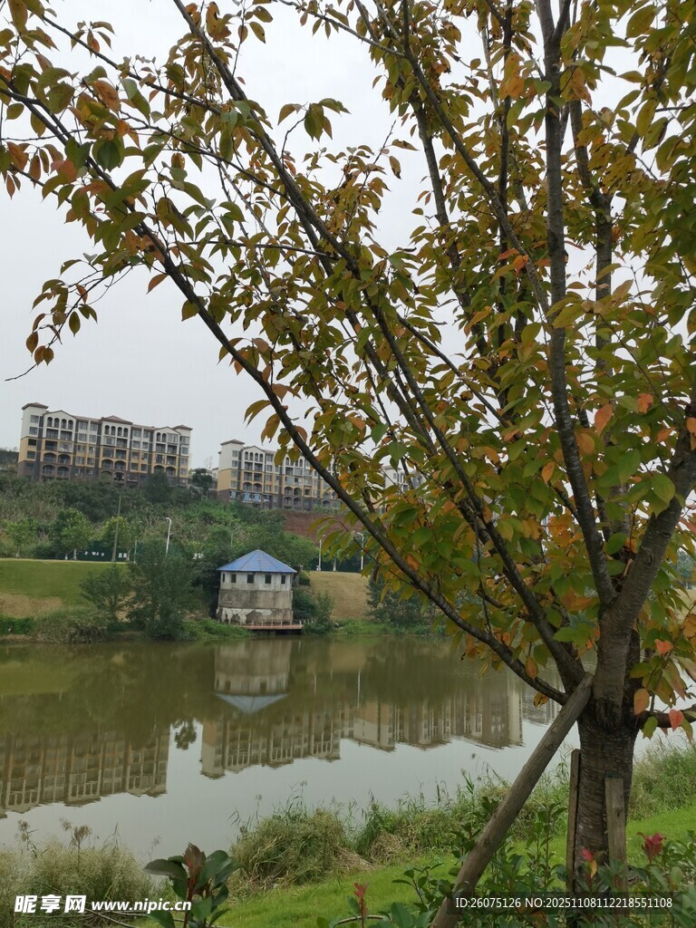 湖畔秋景枝葉與建筑相映