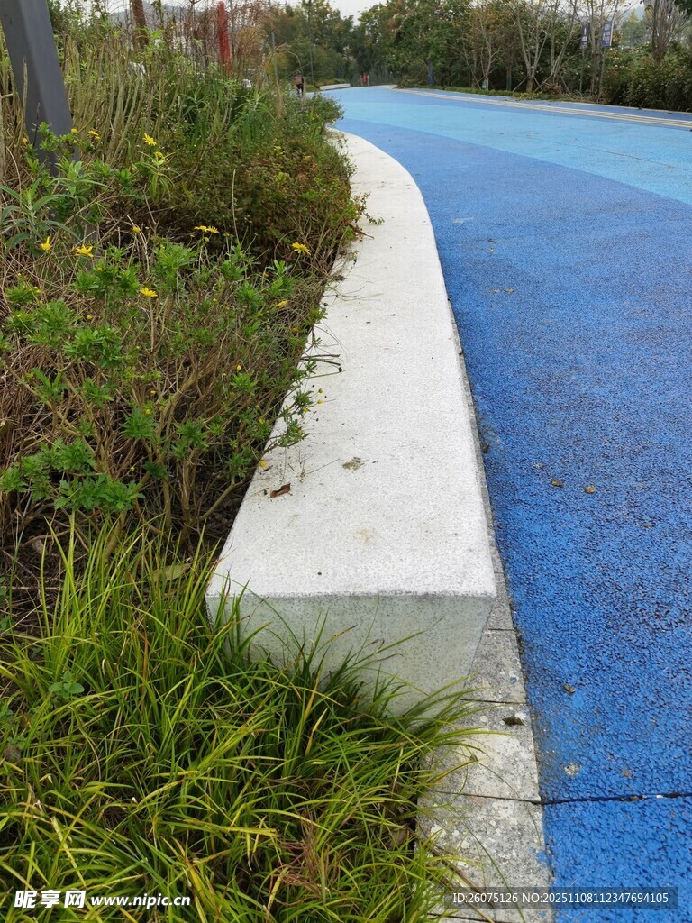 路邊綠植與藍(lán)色步道景觀