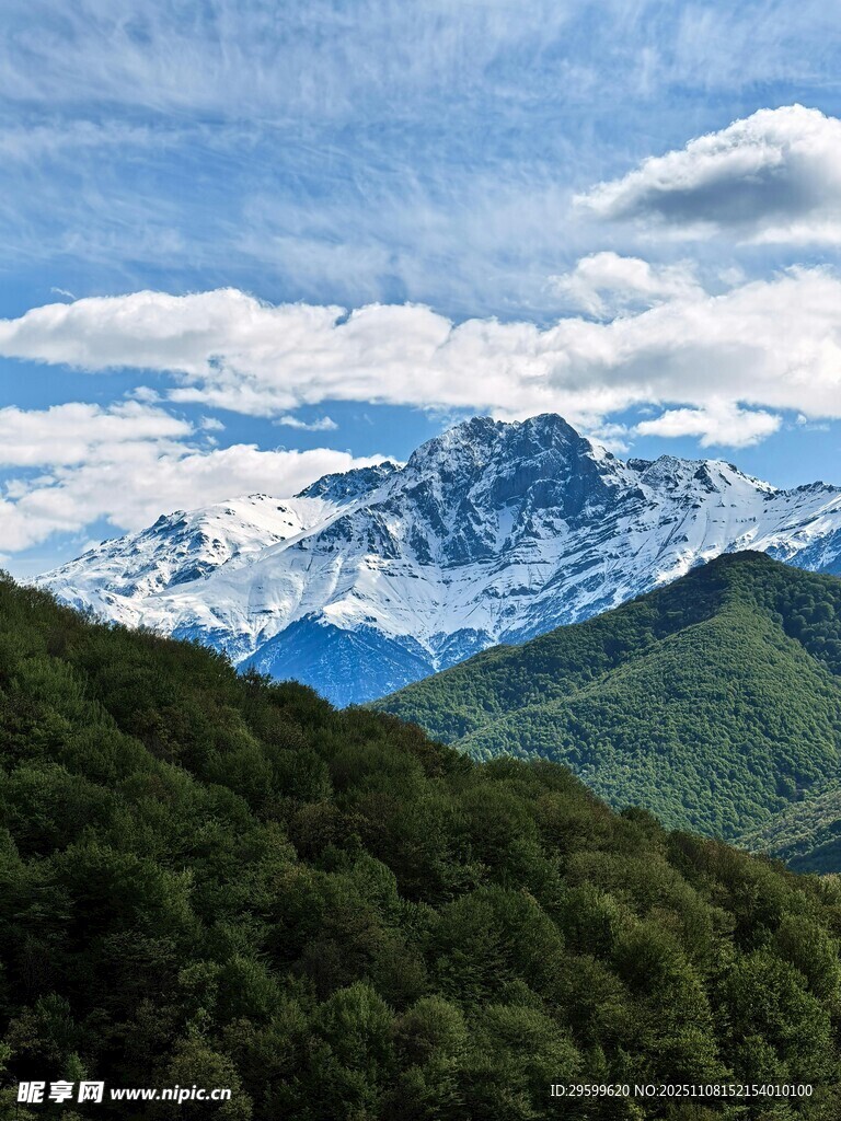 雪山下的蔥郁山林