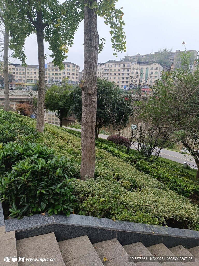 城市公園中的綠植與步道