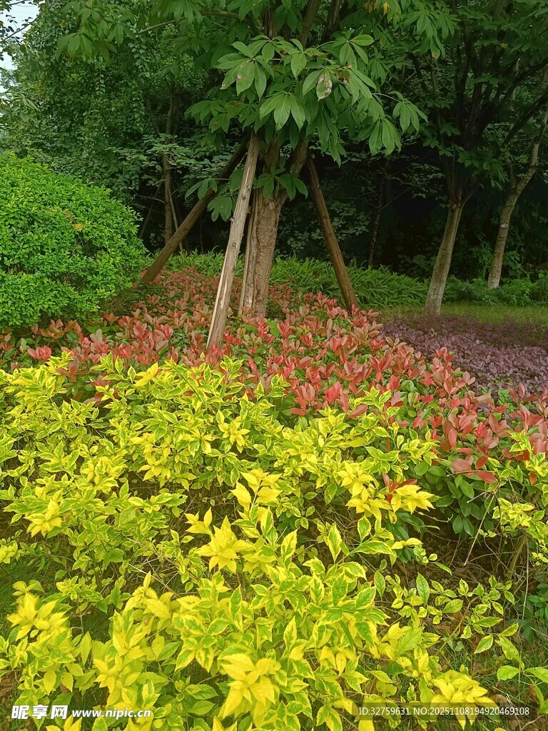 多彩園林植物景觀