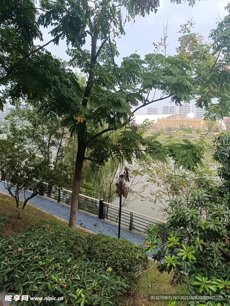 林間小道的自然景致