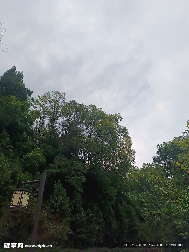 山林云霧繚繞景色