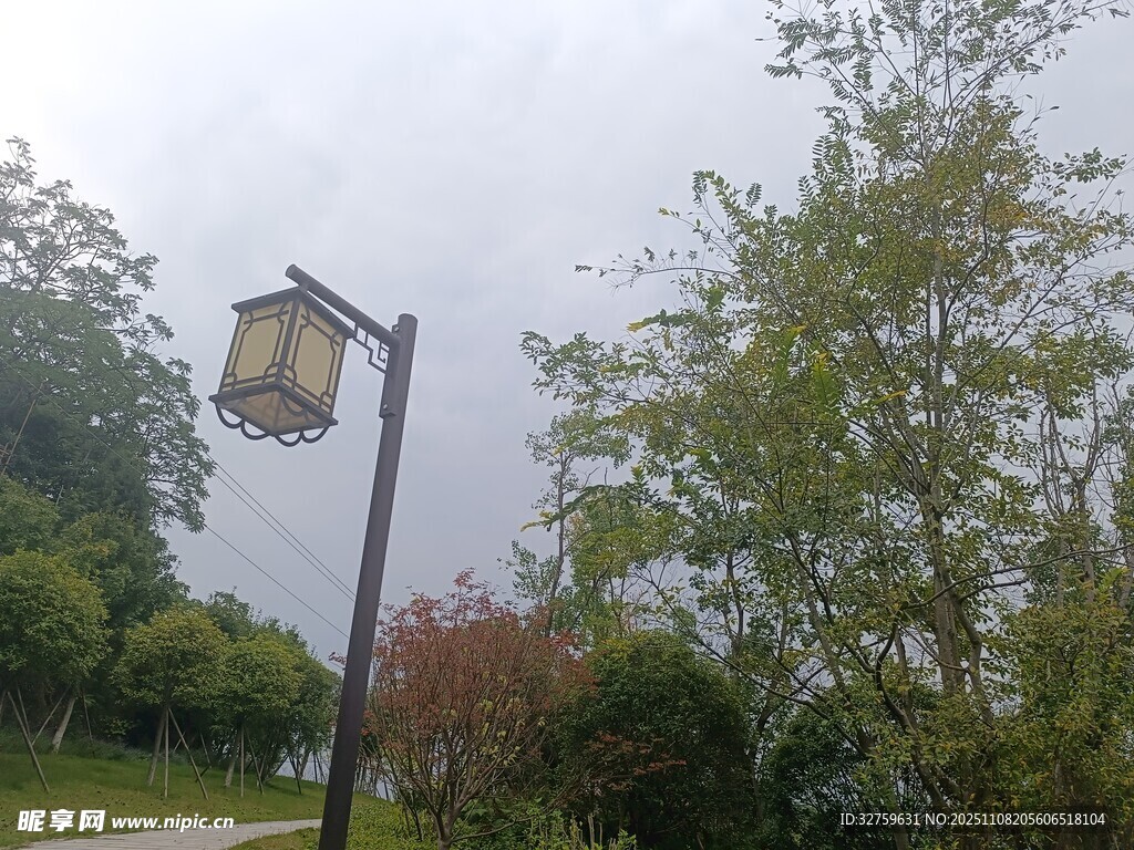 戶外路燈旁的綠植景觀