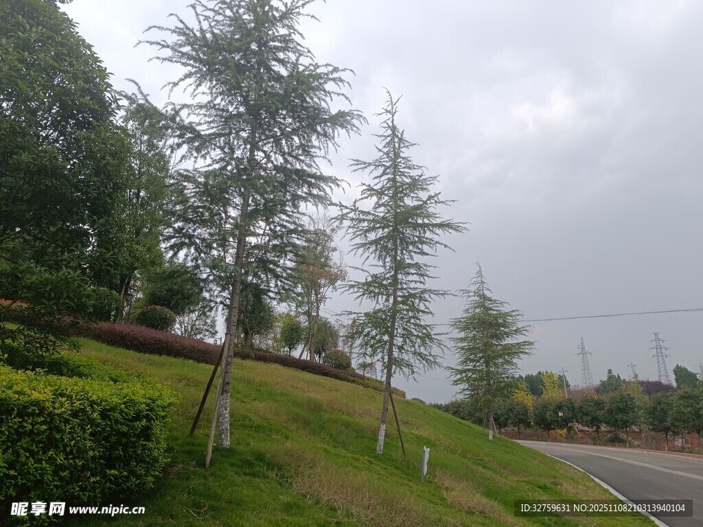 路邊綠意盎然的景致