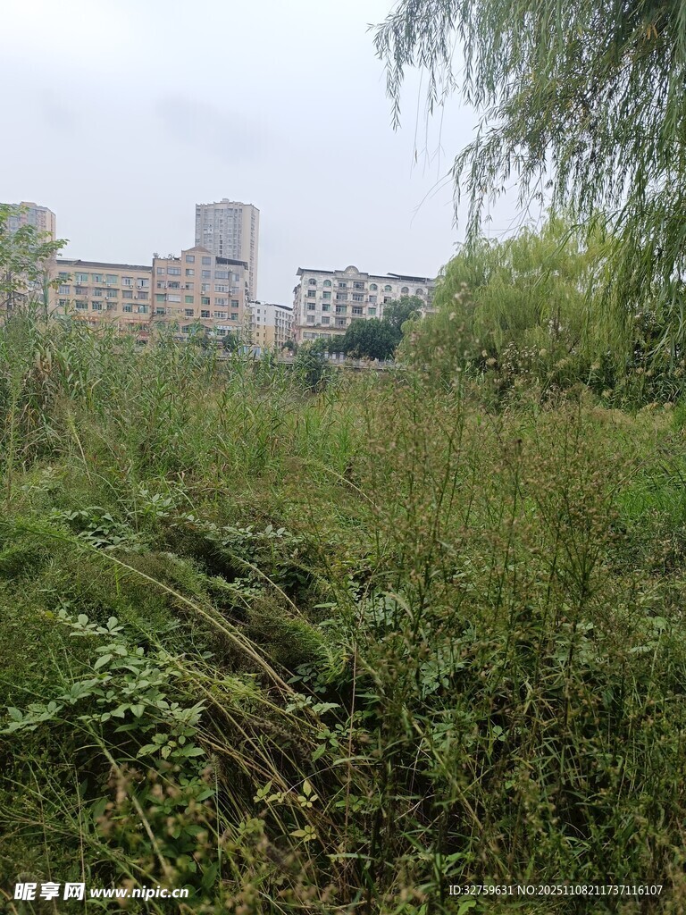城郊荒野植被景觀