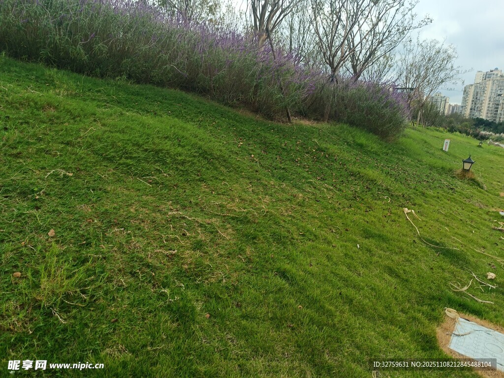春日綠草繁花斜坡景致