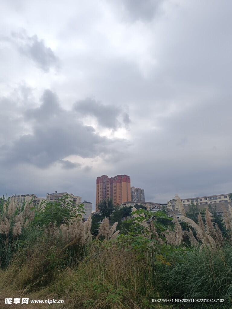 云霧繚繞中的城市建筑景觀