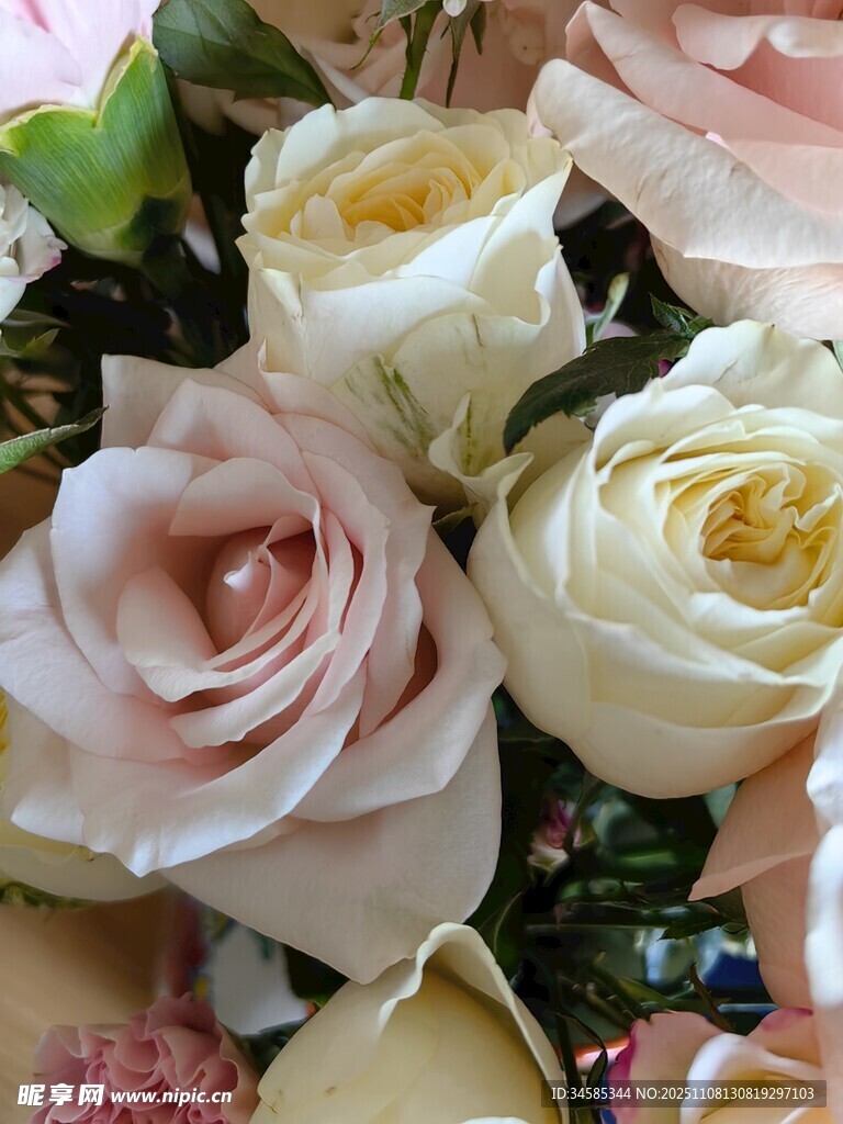 柔美多彩玫瑰花束