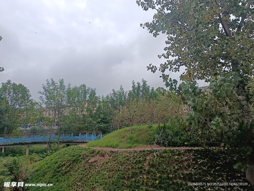 鄉(xiāng)村綠野中的藍(lán)色橋梁