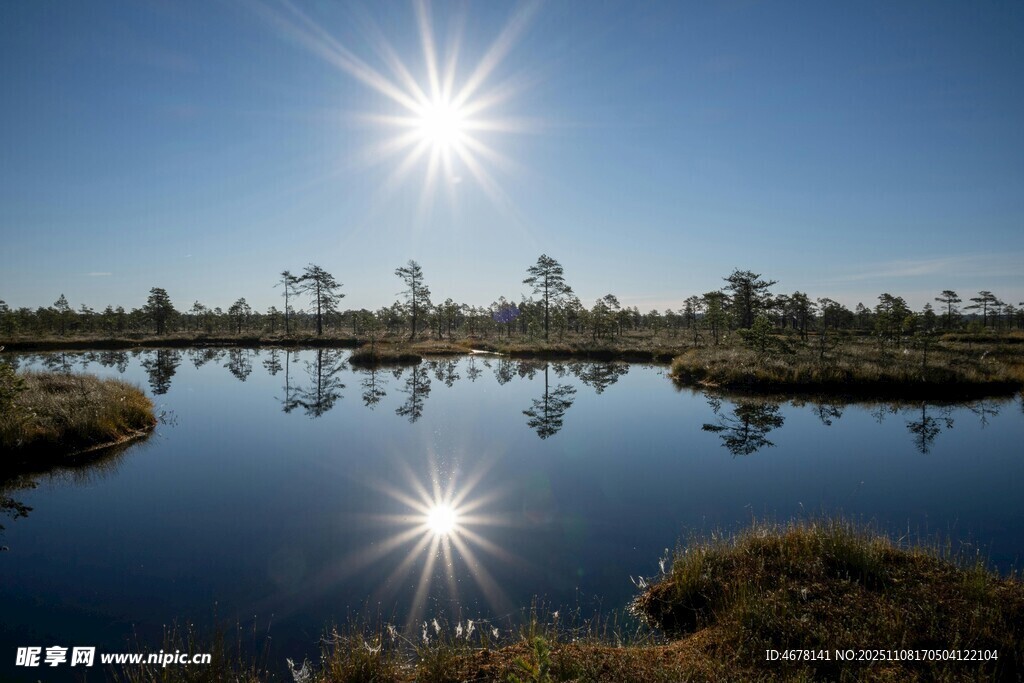 陽光照耀下的靜謐水域