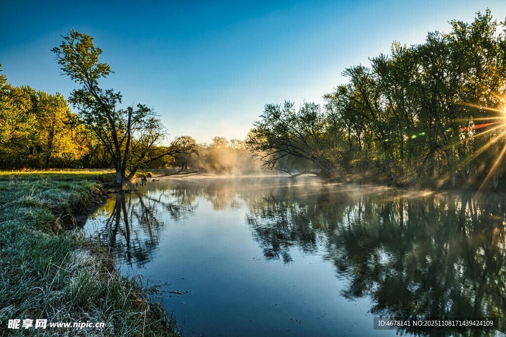 河畔晨光中的寧靜自然景色