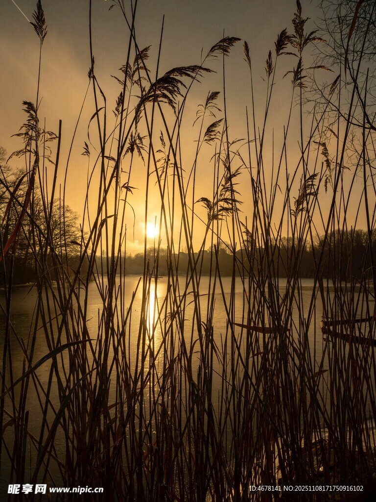夕陽(yáng)下的蘆葦湖畔美景
