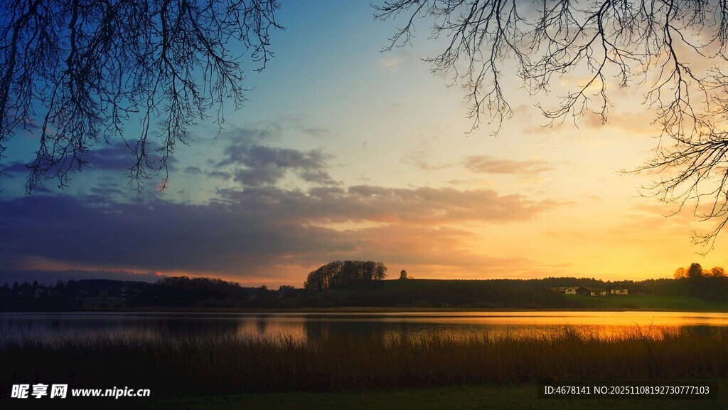 湖畔夕陽垂柳美景