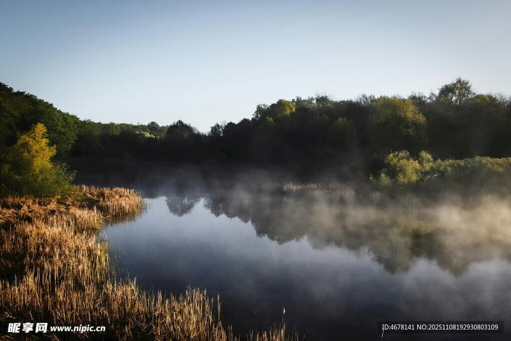 晨霧中的靜謐湖畔風(fēng)光