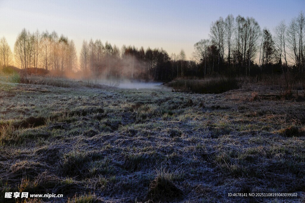 晨霧中的原野與樹(shù)木