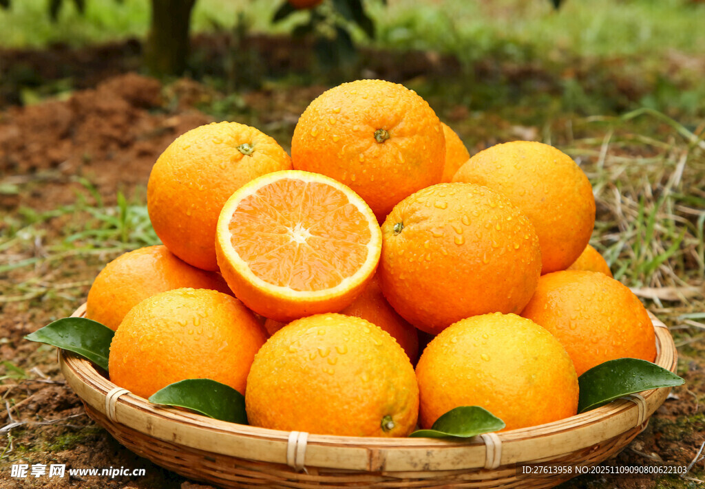竹籃里的橙子
