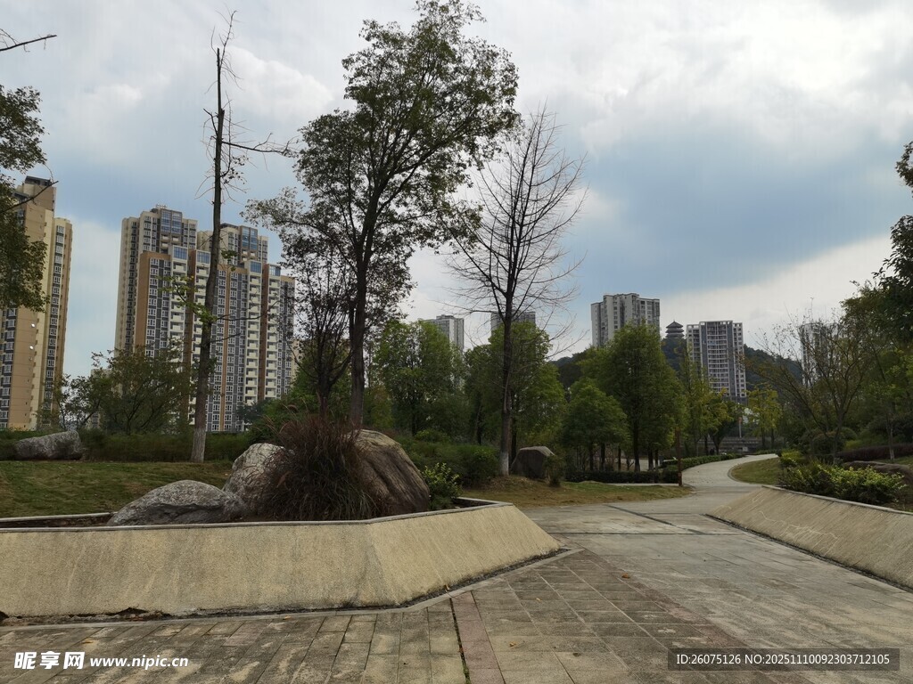 城市中的靜謐園林景觀