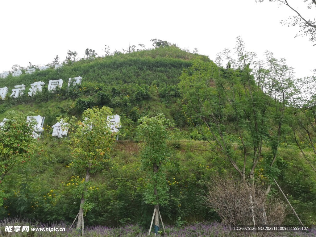 山坡綠植簇?fù)淼陌咨ㄖ? />
                            </div>
                    </div>
                </div>



                <div   id=