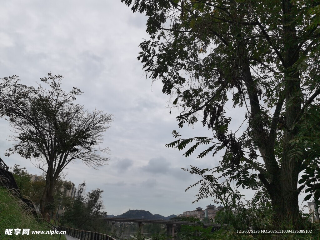 山間樹木與陰沉天空景色