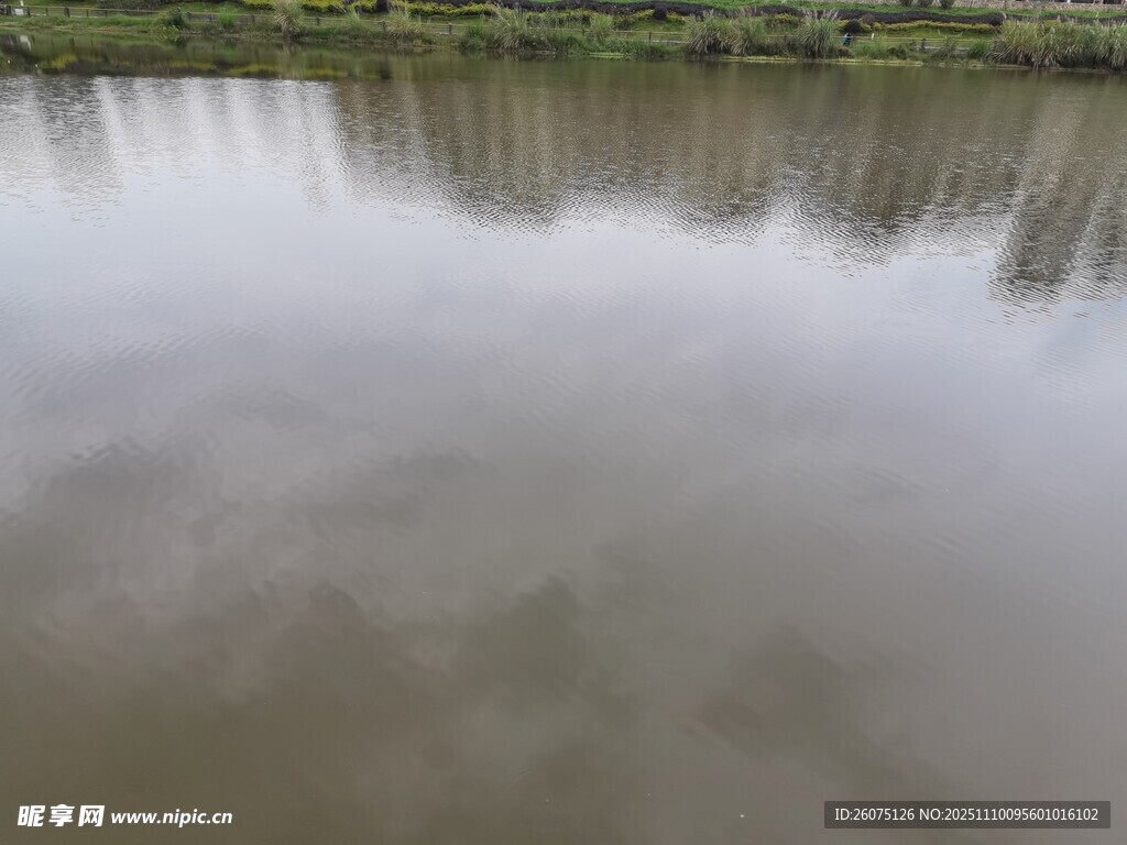 平靜湖面倒影河岸景色